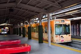 嵐山モンキーパークいわたやま