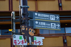 嵐山モンキーパークいわたやま