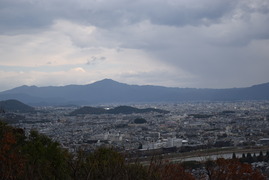 嵐山モンキーパークいわたやま