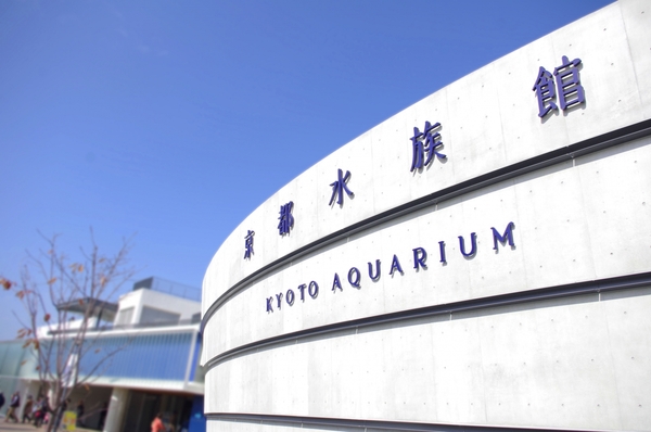 発見がたくさん　京都水族館