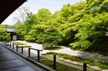 お寺大好き 京都お寺巡りウォーキングツアー　東