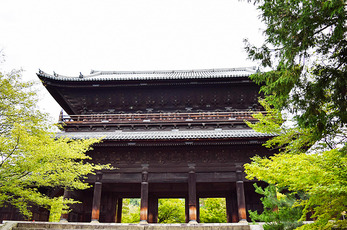 お寺大好き 京都お寺巡りウォーキングツアー　東