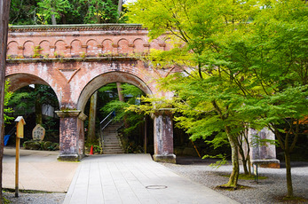 お寺大好き 京都お寺巡りウォーキングツアー　東