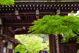 お寺大好き 京都お寺巡りウォーキングツアー　東