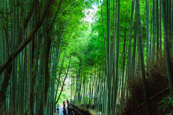 嵐山散策ツアー