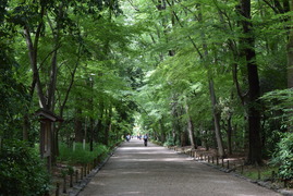 東山ハイライトツアー