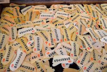 東山ハイライトツアー