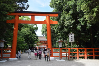 東山ハイライトツアー