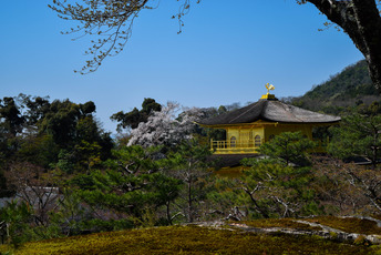 ディープ京都ツアー：嵐山、西陣、綴れ織り工房ツアー 