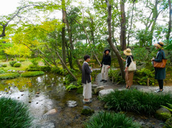 東山探索ウォーキングツアー＋茶道体験